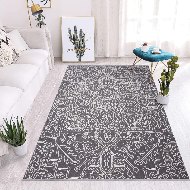 Photo 1 of Boho Decor Area Rug - 3'x5' Machine Washable Grey Rug Woven Double Sided Accent Rug Entry Throw Carpet for Living Room Bedroom Bathroom Kitchen Indoor Outdoor Rug (Grey / Beige)