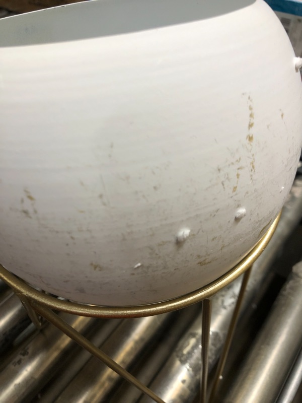 Photo 1 of Admired By Nature White Gold Bowl Plant Pot