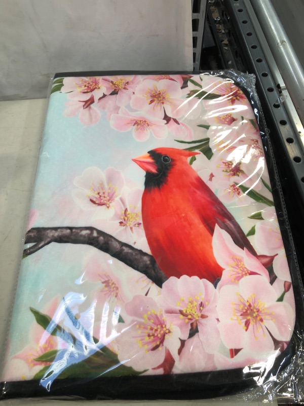 Photo 2 of Kcldeci Spring Outdoor Doormat mat Cardinal Birds Bath Mat Cherry Blossom Kitchen Rug Spring Doormats Entrance Mat for Garden Patio Entryway Decorations Decor 23.6 x 15.7 inch
