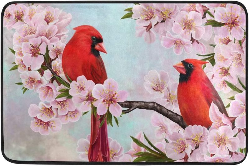 Photo 1 of Kcldeci Spring Outdoor Doormat mat Cardinal Birds Bath Mat Cherry Blossom Kitchen Rug Spring Doormats Entrance Mat for Garden Patio Entryway Decorations Decor 23.6 x 15.7 inch
