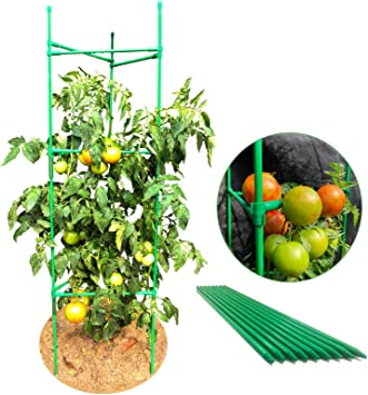 Photo 1 of YOYORUN Tomato cage 2-Pack?Plant Cages,for Plant Suppor,Fiberglass Material are Strong and Durable asteel