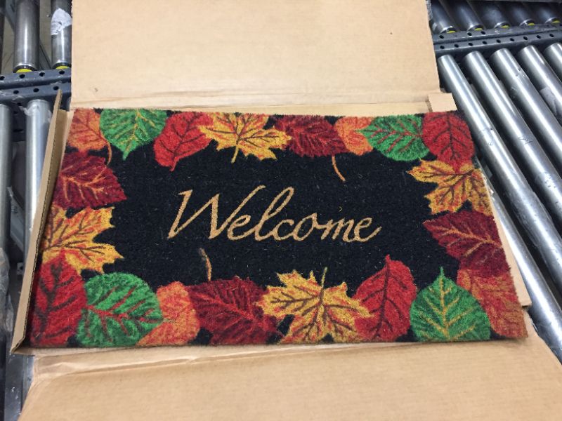 Photo 1 of 18"x30" fall welcome mat 
