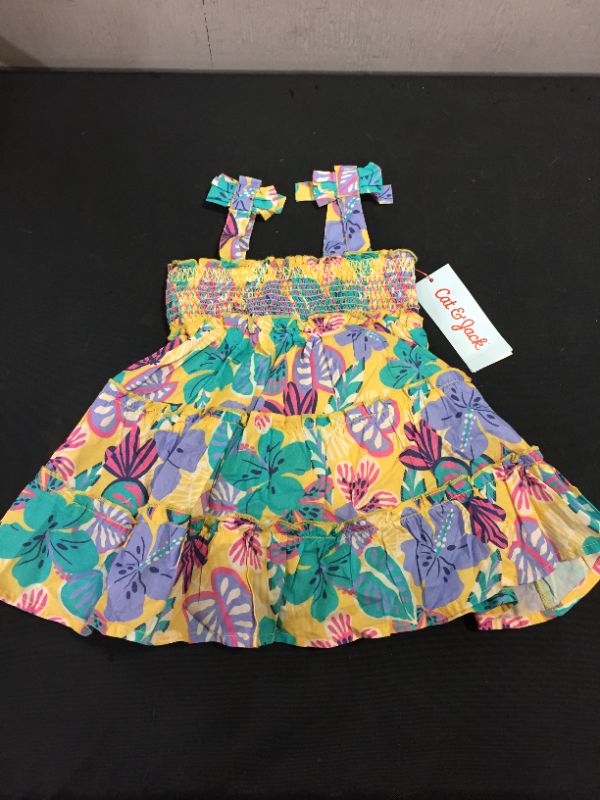 Photo 1 of CAT & JACK- BABY GIRLS' DRESS- SIZE 12M
