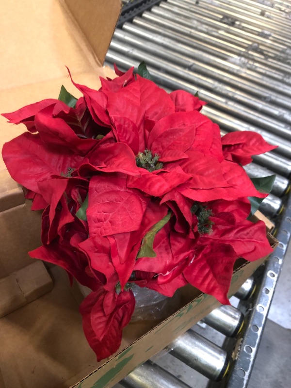 Photo 1 of 1963 Poinsettia Artificial Arrangement in Golden Vase
