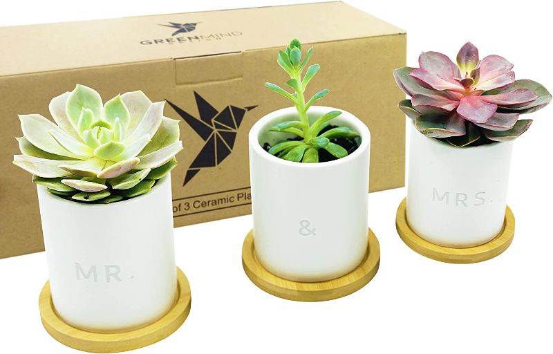 Photo 1 of  Gift Ceramic Pots - 3.5 inch White Mini Succulent Cactus Planter Pot w/ Bamboo Tray & Drainage Hole - GreenMind Design Laser Engraved Set of 3 - Wedding Gift - Plants not Included
