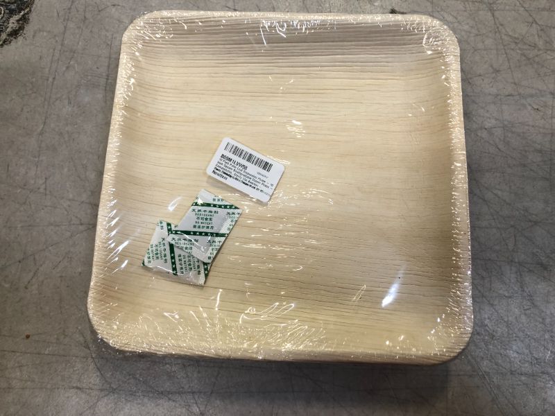 Photo 1 of 10 Pack Palm Leaf Plates - 10 Inch Square Biodegradable Dinner Plates - Compostable, Sturdy like Bamboo - Eco-Friendly Green Dinnerware for Weddings, Party, Holidays, Christmas, Pack of 10
