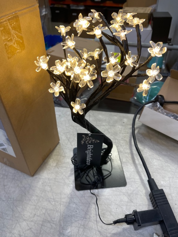 Photo 1 of Brightdeco Lighted Cherry Blossom Tree - 1.5FT 48 LED  ONE COLOR