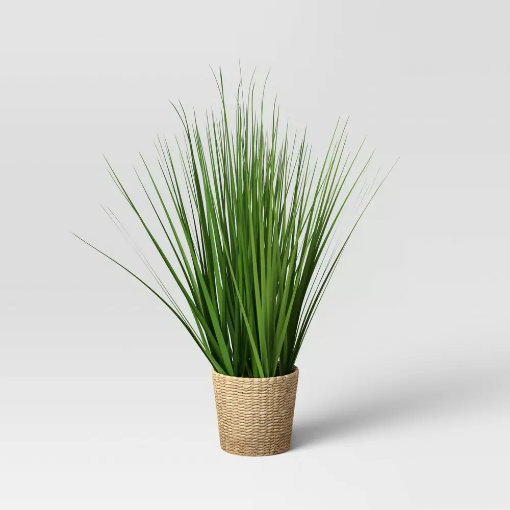 Photo 1 of  Large Potted Grass in Basket - Threshold