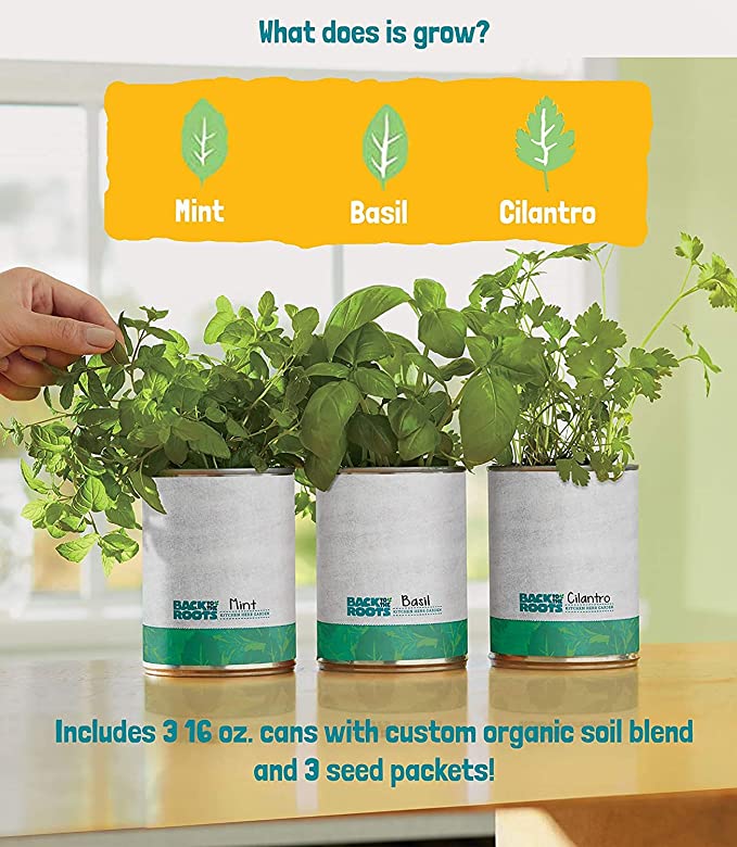 Photo 2 of Back to the Roots Garden-in-a-Can 3-Pack Kitchen Herb Basil Coriander Mint DIY Organic Indoor Herb Growing Kit for Growing Edible Herbs in Your Home Perfect Gift for Cooking