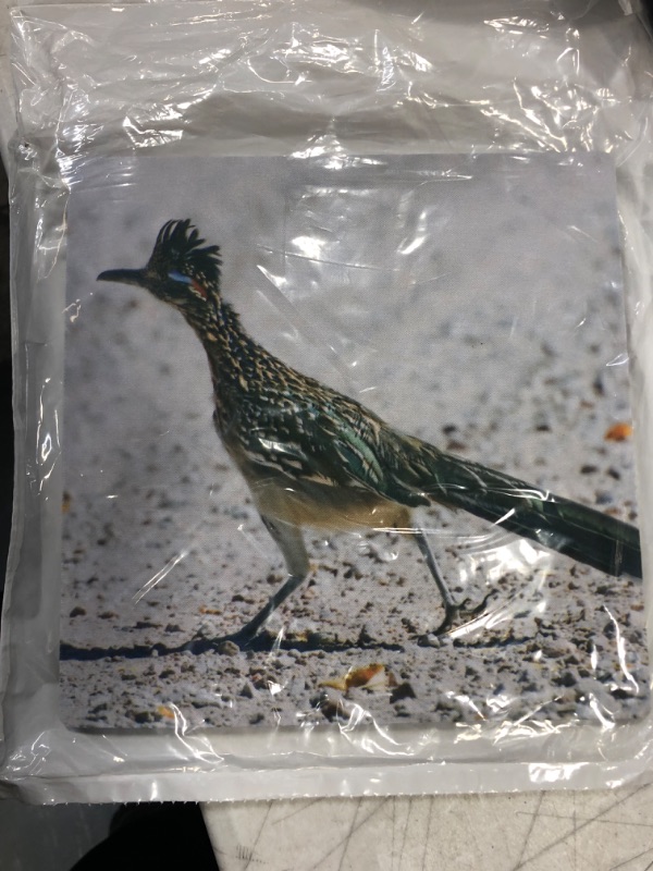 Photo 2 of 3dRose LLC 8 x 8 x 0.25 Inches Mouse Pad, New Mexico Bosque Del Apache Roadrunner Bird Jaynes Gallery (mp_92557_1)
