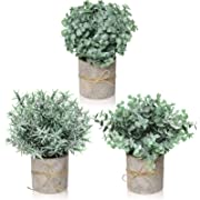 Photo 1 of Farmhouse Decor for The Home, Farmhouse Bathroom Decorations - Modern Farmhouse Decorations for Farmhouse Bathroom or Farmhouse Table - Eucalyptus Plant Rustic Set of 3 Artificial Plants (Frosted) 2PCS
