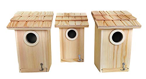 Photo 1 of 3 Pack Bird House - Bluebird, Finch, Wren, Chickadee, Tree Swallow Bird, Wild Birds, Woodpecker House, Unfinished Wood DIY Project |