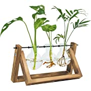 Photo 1 of CABINAHOME Cute Plant Propagations Station Desktop Hydroponics Planter Terrarium Propagation Stations with Wooden Stand for Home Office Desk Décor
