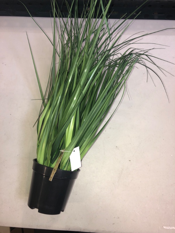 Photo 1 of Artificial Extra Full Grass Potted (24) - Vickerman