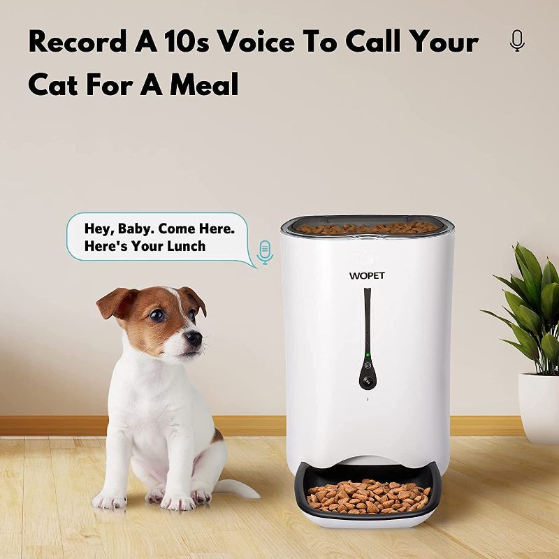 Photo 1 of  Smart Feeder Cat Dog Food Dispenser