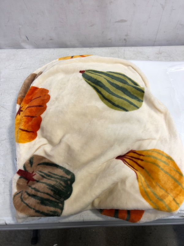 Photo 2 of  Gourd Printed Plush Throw Blanket 50" X 60"