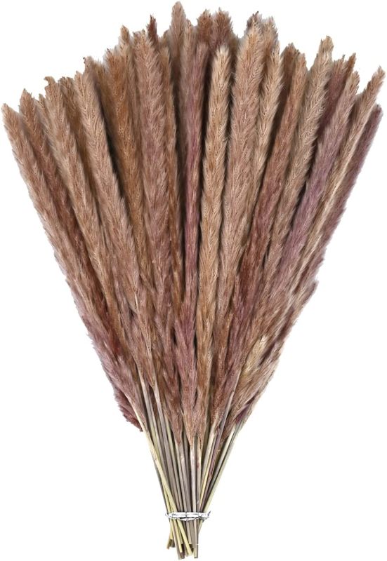 Photo 1 of 60 Pack Pampas Grass Boho Decorations, 17.3 inch/44cm Natural Dried Pampas Grass Branches for Boho Party Decor Home Kitchen Garden Photographing Flower Arrangement Vase Decor, FACTORY SEALED 
