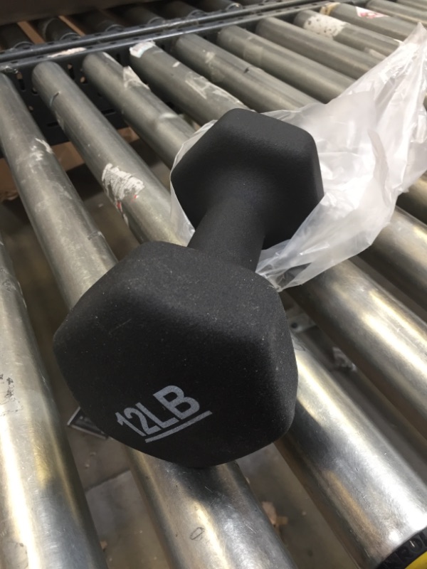 Photo 1 of 12 LB DUMBELL WEIGHT ** 1 DUMBELL **