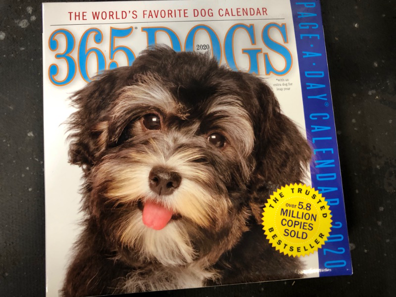 Photo 2 of 365 Dogs Color 2020 Calendar
