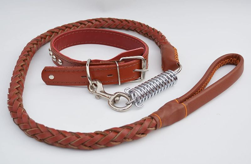 Photo 1 of A&B Lifestyle Leather Collar and Leash Set
