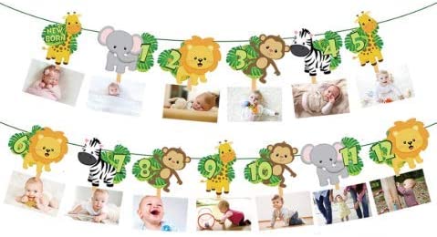 Photo 1 of Jungle 1st Birthday Photo Banner Newborn to 12 Month Display Milestone Safari Animals Theme First Year Baby Banner Jungle Party Photo Booth Props Cake Smash Party Decorations Supplies
FACTORY SEALED 