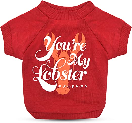 Photo 1 of Friends the TV Show "You're My Lobster" Dog T Shirt in Red - Soft Dog Shirt, Machine Washable Pullover Dog Tshirt, Light Weight & Semi-Stretch - Friends Dog Shirt
