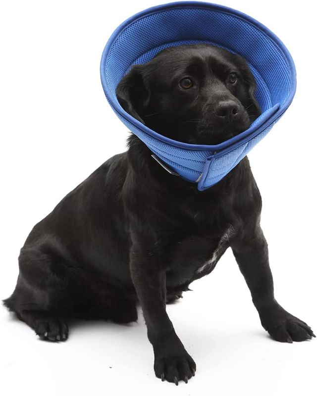 Photo 1 of 
Dog Cone Recovery Collar Protective Soft Edge Neck Cone Quicker Health Anti-Bite Wound Licking for Medium/Large Dog
