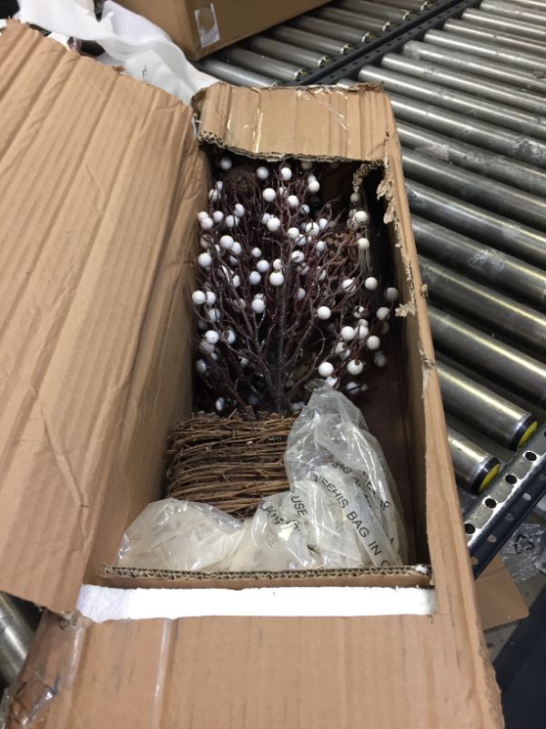 Photo 1 of 30" Tabletop Twig Tree with Vine Base - White Berry