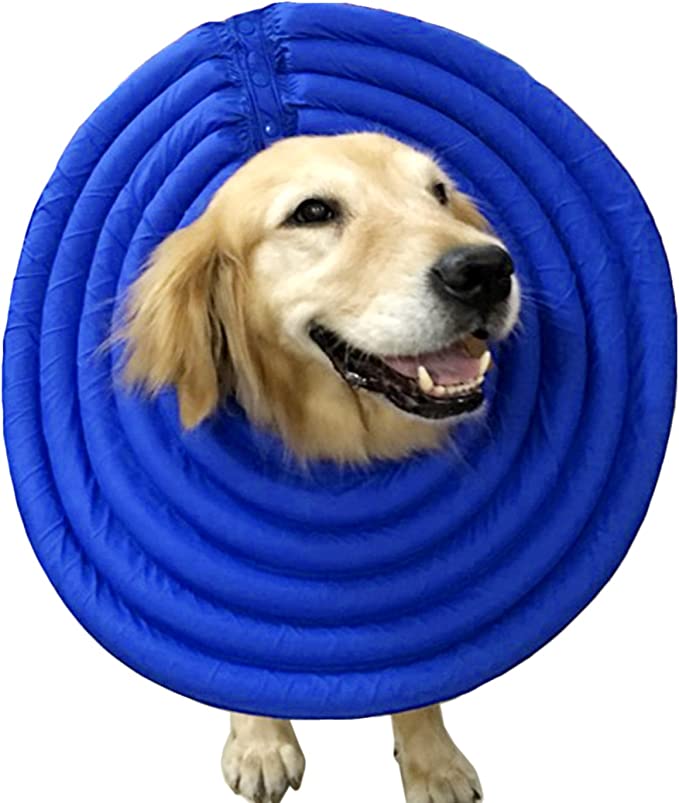 Photo 1 of Alfie Pet - Toby Waterproof Recovery Collar (for Dogs and Cats) (large) 
