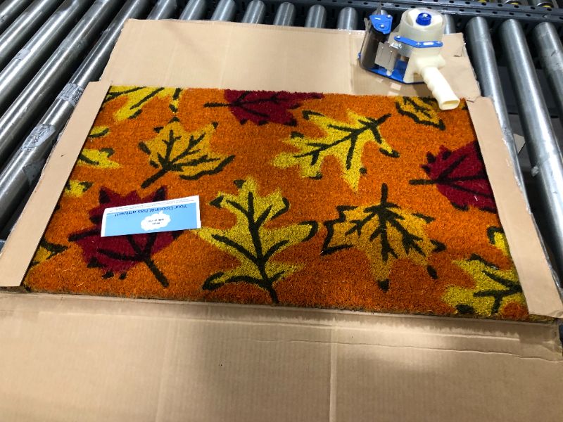 Photo 2 of Calloway Mills 120961729 Fall Leaves Doormat, 17" x 29", Multicolor