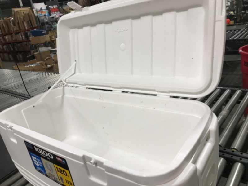 Photo 3 of 120QT  IGLOO COOLER