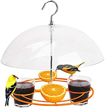 Photo 1 of Solution4Patio Baltimore Oriole Feeder, Orange Halves Fruit & Grape Jelly, and Mealworm for Bluebirds, Weather Guard Squirrel Baffle #G-B312A00-US https://a.co/d/1VOKMsZ