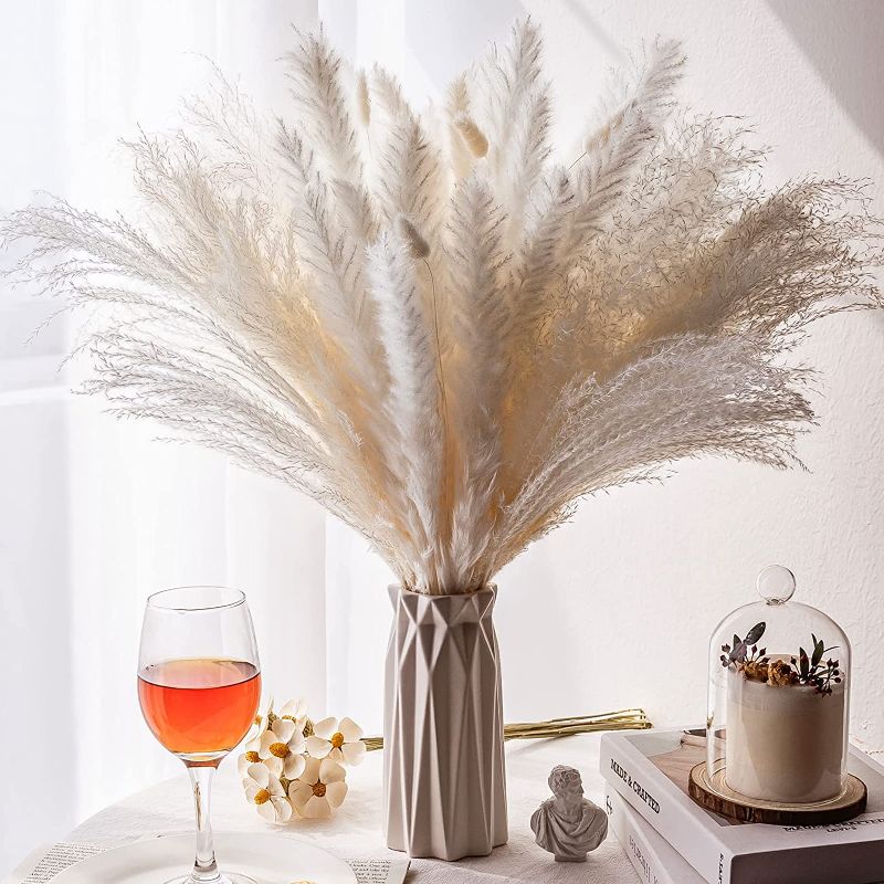Photo 1 of 10 PC DRIED PAMPAS 