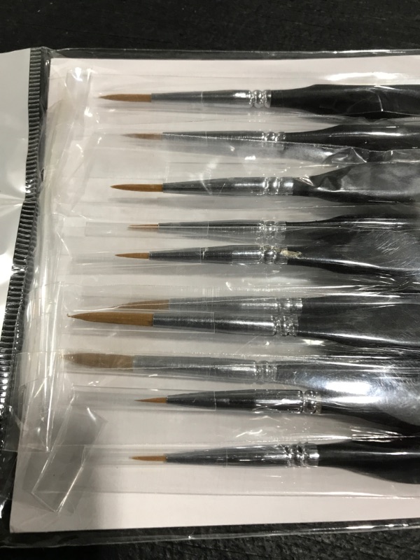 Photo 2 of 10 PIECE PAINTBRUSH SET. 