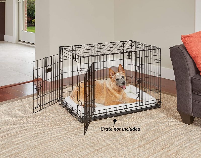Photo 1 of Midwest Container Quiet Time Bed 22x13 Inch - 40222
