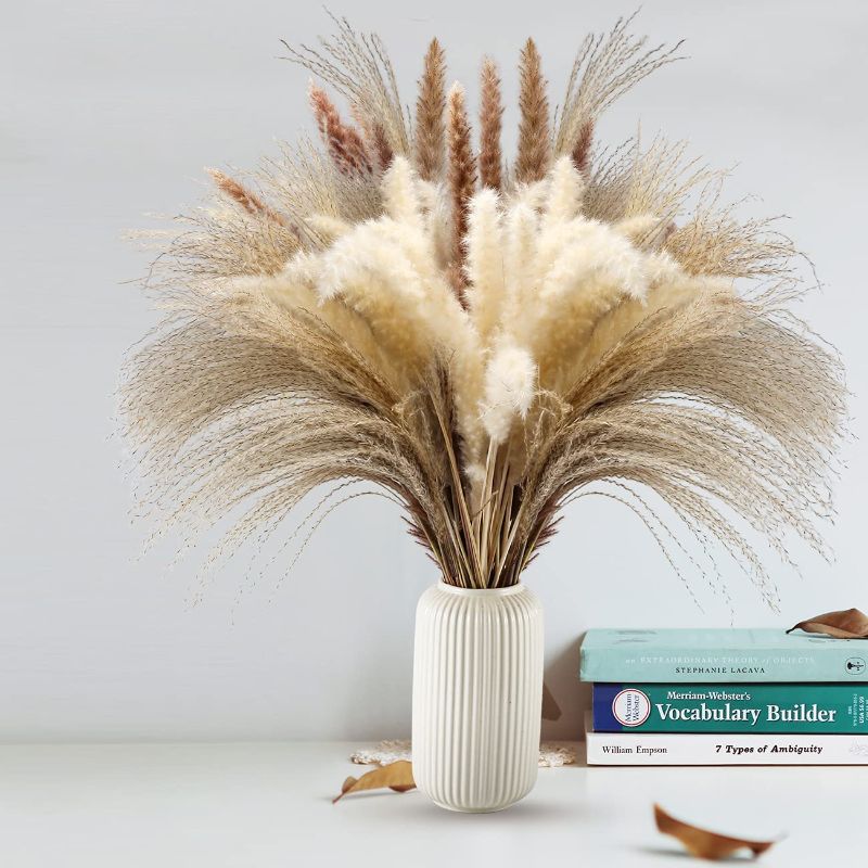 Photo 1 of 60Pcs Pampas Grass, 17.72'' Dried White Pampas Grass 15 Pcs?Brown Dried Flower 15 Pcs?30 Pcs Natural Dried Reed, Natural Home Decor & Ideal for Flower Arrangements, Wedding Plants
