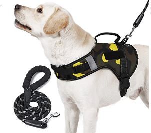 Photo 1 of AINOI Dog Vest Harness and Leash Set for Large Dogs No Pull Harness with Pocket Handle Surface Waterproof Custom Patches 5 FT Reflective Strip Strong Dog Leash