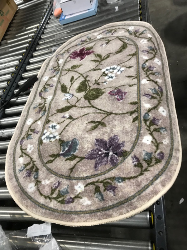 Photo 1 of 45x29 oval rug