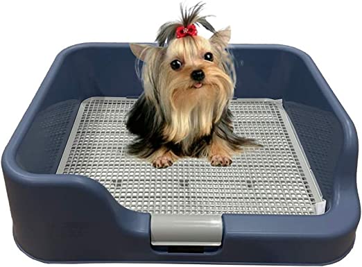 Photo 1 of [PS KOREA] Indoor Dog Potty Tray – With Protection Wall Every Side For No Leak, Spill, Accident - Keep Paws Dry And Floors Clean! 100% Satisfaction (Blue)
