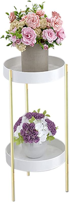 Photo 1 of 2-Tiered Gold Plant Stand-Plant, Tall Metal Pot Stand Indoor Flower Tall Metal Plant Shelf Plant Holder with 2 Removable Pot Outdoor Storage Rack Home Decoration (L, White)
