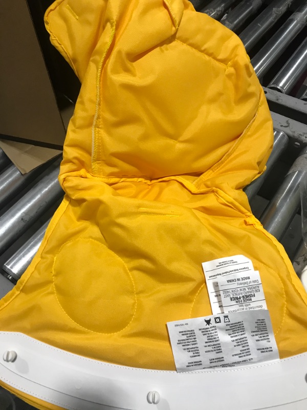 Photo 1 of Fisher-Price FPR21 Sit-Me-up Floor Seat with Toy Tray, Lion
