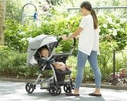 Photo 1 of Jeep® Unlimited Reversible Handle Stroller - Delta Children
