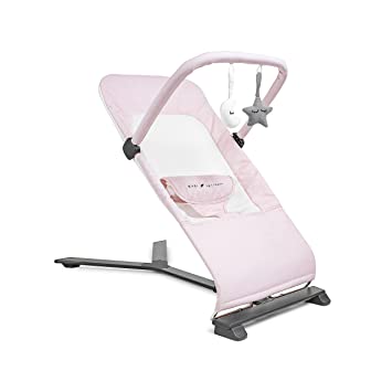 Photo 1 of Baby Delight Alpine Deluxe Portable Bouncer - Peony Pink