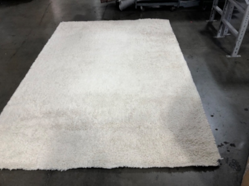 Photo 2 of **STOCK PHOTO FRO REFRENCE**
WHITE SHAG HOME RUG 
9' x 6.5'