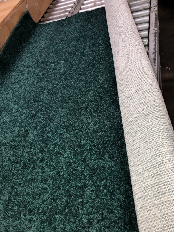 Photo 2 of *** STOCK PHOTO FOR REFERENCE ONLY***
5' x 5' Square DARK GREEN Area Rug