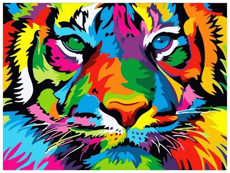 Photo 1 of **3 pack**
ifymei Paint by Number for Kids and Adults Beginner, DIY Acrylic Painting Kits on Canvas, 16” x 20” Colorful Tiger [Without Frame]

