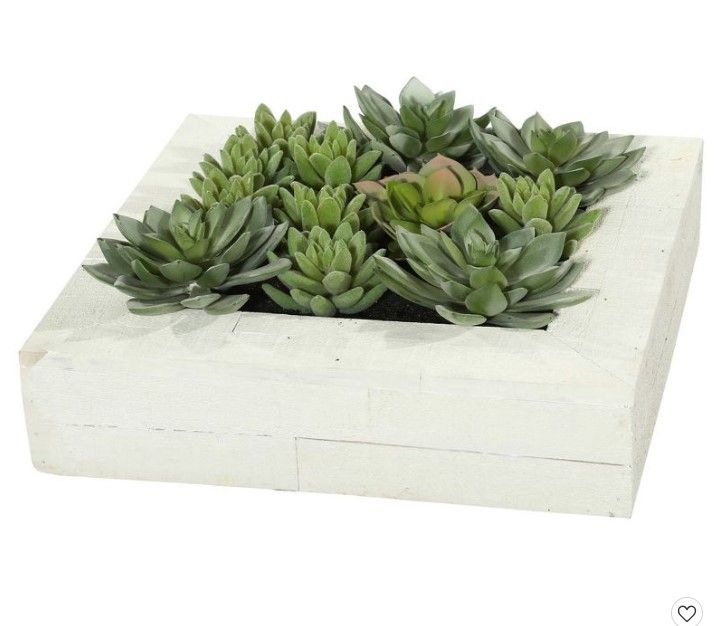 Photo 1 of Artificial Wall Succulent Arrangement (12") - Vickerman

