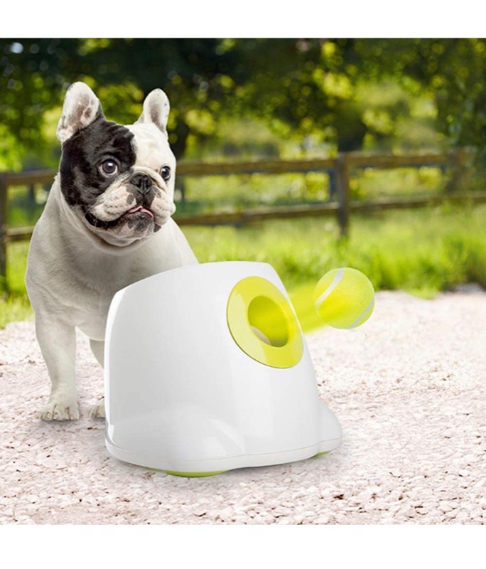 Photo 1 of All for Paws Dog Automatic Ball Launcher for Small Dogs, Dog Tennis Ball Throwing Machine, 3 Balls Included