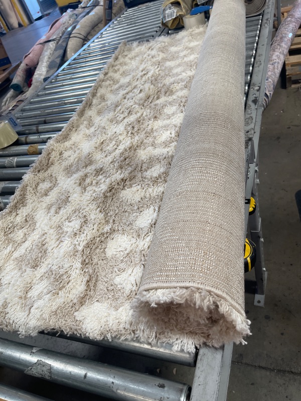 Photo 1 of Artistic Weavers Hapsburg Moroccan Shag Area Rug, 5'3" x 7'3", Beige
