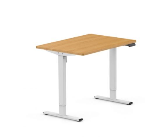 Photo 1 of Pro Standing Desk 55"  (E5)
